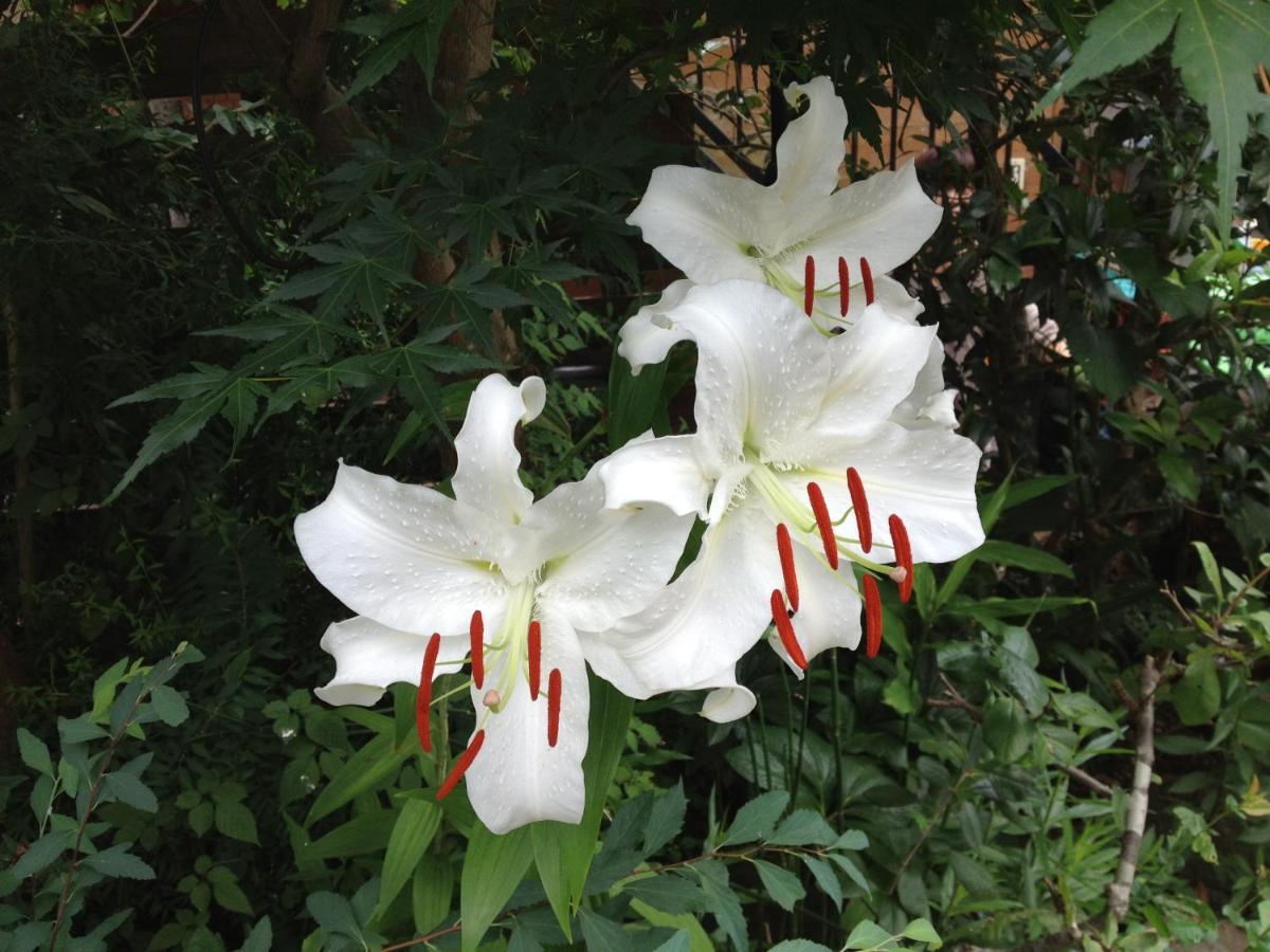Otsu Nature Garden Akiruno Kültér fotó