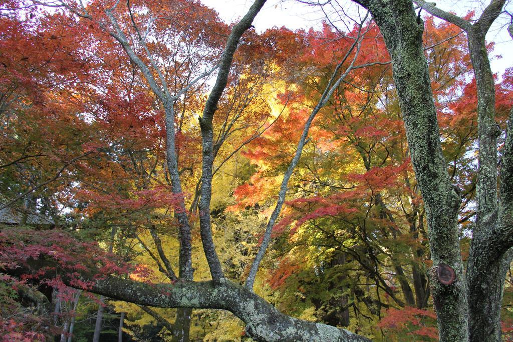 Otsu Nature Garden Akiruno Kültér fotó
