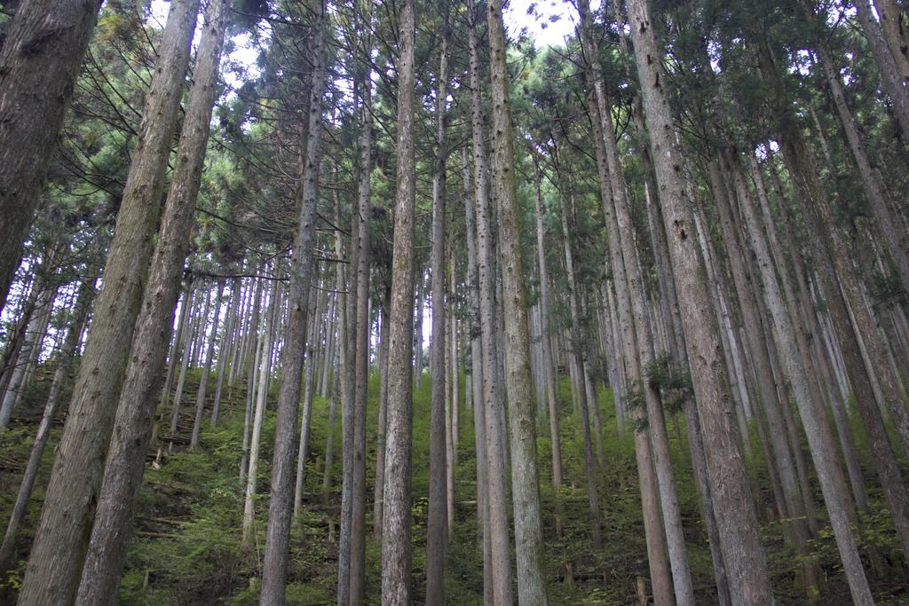 Otsu Nature Garden Akiruno Kültér fotó