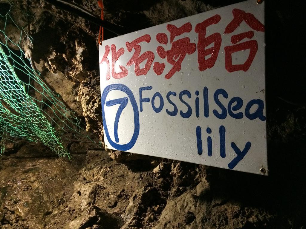 Otsu Nature Garden Akiruno Kültér fotó