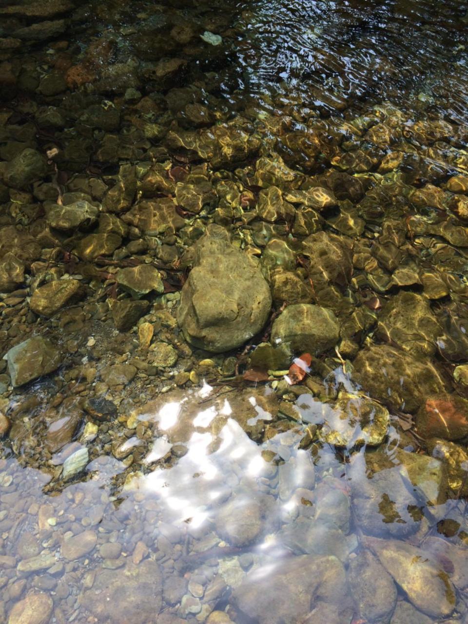 Otsu Nature Garden Akiruno Kültér fotó